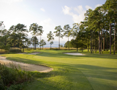 Swan Point Yacht & CC